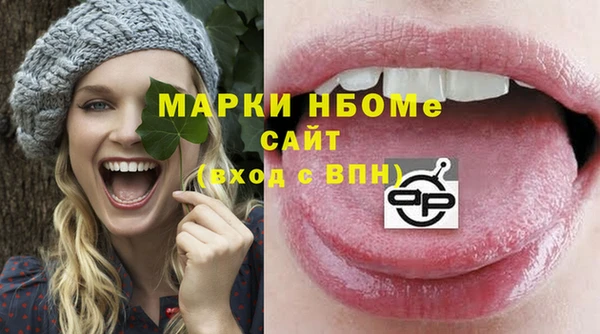 индика Бугульма
