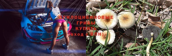 прущие грибы Верхнеуральск