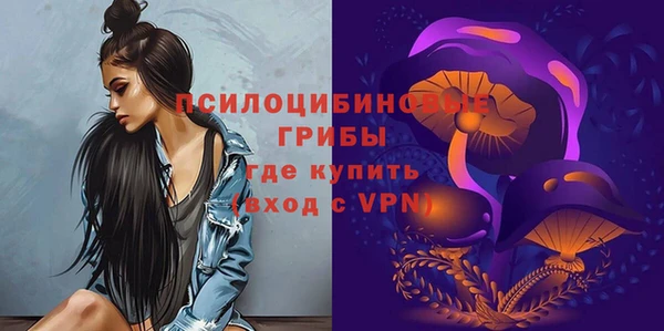 mdpv Кемь
